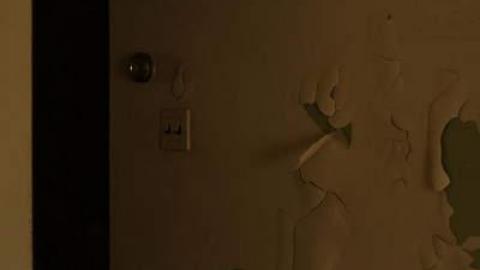 A collection of visits - 15/16 - Mr.-and-Mrs.-Sauga91.jpg