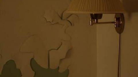 A collection of visits - 15/16 - Mr.-and-Mrs.-Sauga113.jpg