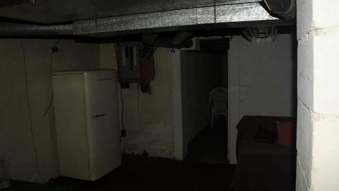 Photo from A collection of visits - 15/16