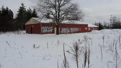 Too Cold For Royalty - Royal-City-Nursery21.jpg