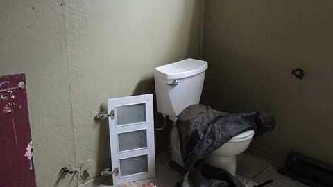 Too Cold For Royalty - Royal-City-Nursery22.jpg