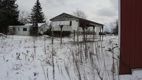 Too Cold For Royalty - Royal-City-Nursery26.jpg