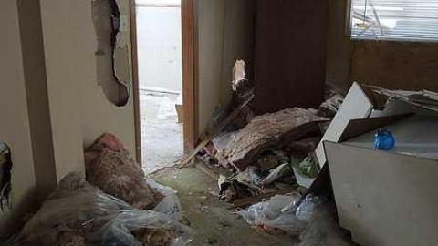 Too Cold For Royalty - Royal-City-Nursery29.jpg