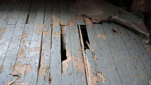 Too Cold For Royalty - Royal-City-Nursery31.jpg