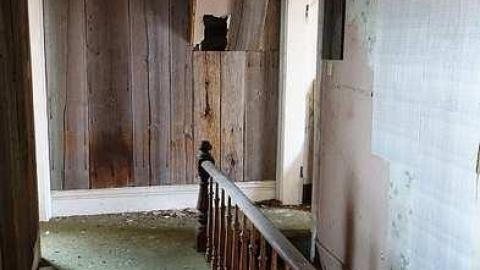 Blood, Guts & TV's '16 - DSC00251.jpg