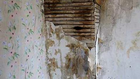 Blood, Guts & TV's '16 - DSC00252.jpg