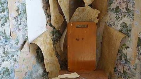 Blood, Guts & TV's '16 - DSC00261.jpg