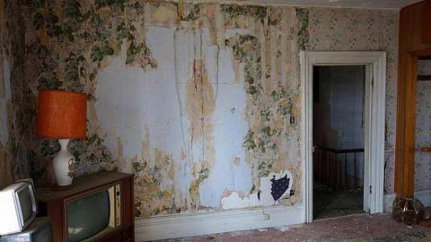 Blood, Guts & TV's '16 - DSC00262.jpg