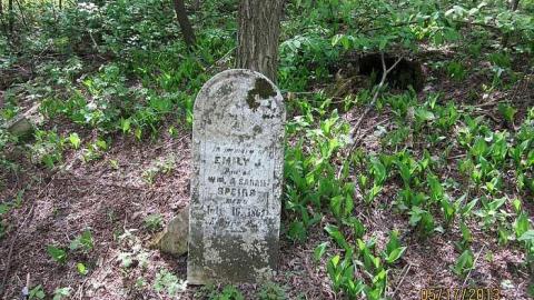 Wilson Hill - Wilsons-Hill-Cemetery42.jpg