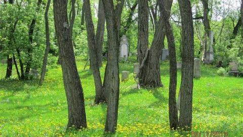 Wilson Hill - Wilsons-Hill-Cemetery14.jpg