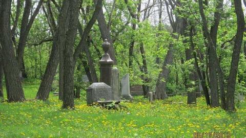 Wilson Hill - Wilsons-Hill-Cemetery17.jpg