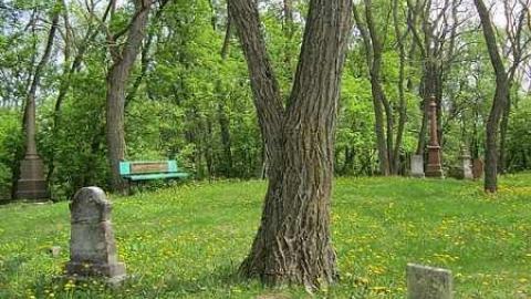 Photo from Wilson Hill