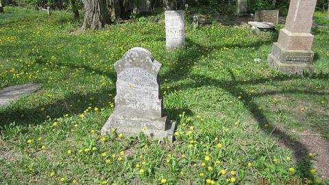 Photo from Wilson Hill