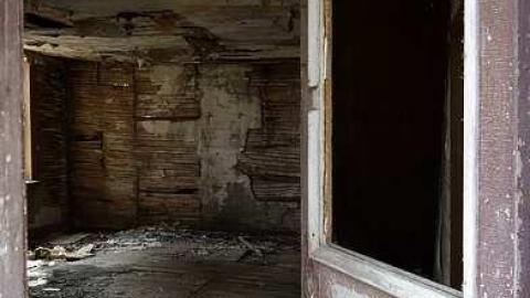 Photo from Falling Apart '16