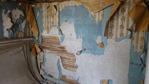 Photo from Falling Apart '16