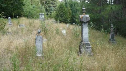 Old L'Amable Road photo 4