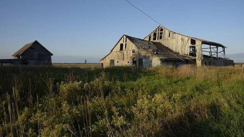 Lion's head house - _DSC3526.jpg