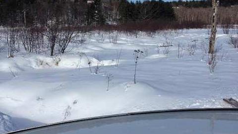 BeiersSwampFarm after 130 yrs  - Kilworthy-and-Store6.jpg