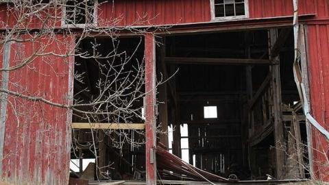 A wayward wave - IMG_1760.jpg