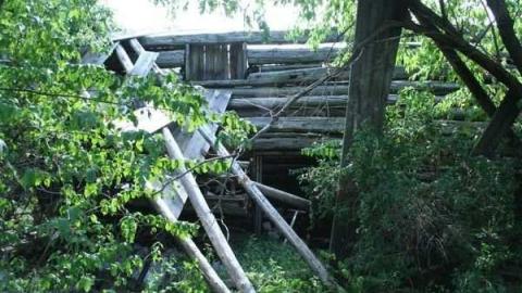 Photo from August 2011