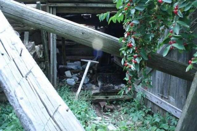 Hidden House in Stittsville photo 3
