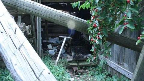 Photo from August 2011