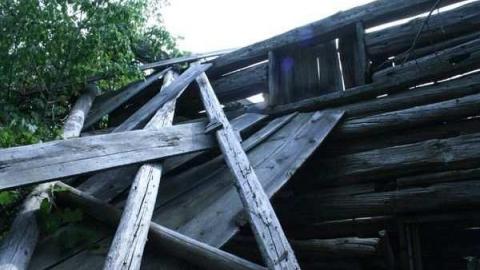 Photo from August 2011