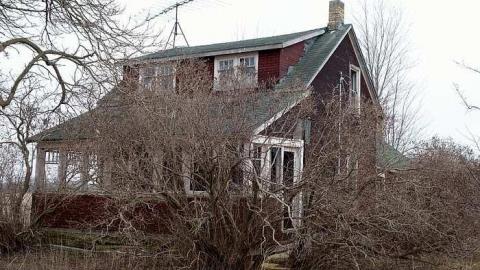 Holey Owner '16 cover photo