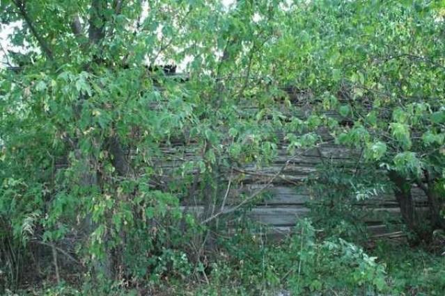 Hidden House in Stittsville photo 5