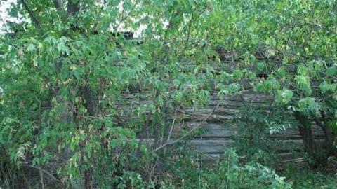 August 2011 - IMG_0434.jpg