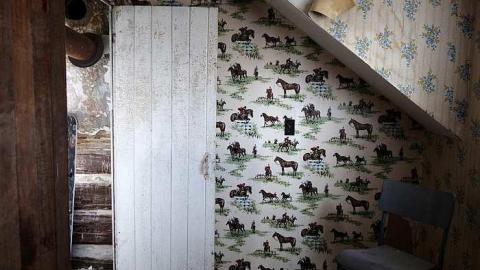 Holey Owner '16 - Holey-Plow!16.jpg