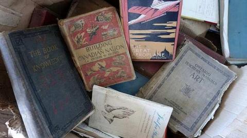 Holey Owner '16 - Holey-Plow!18.jpg