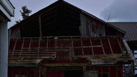 almost gone - Trenchcoat-Mafia31.jpg