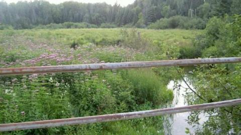 Unfathomable Umfraville - Umfraville-(ghost-town)10.jpg