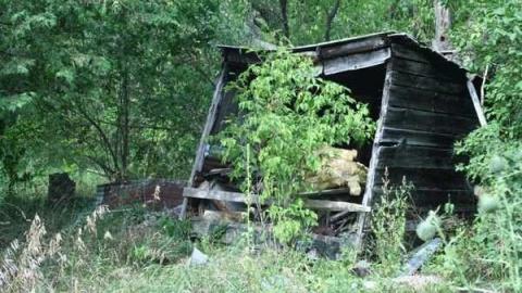 August 2011 - IMG_0445.jpg
