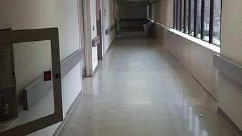 January 2017 - 20170131_111812.jpg