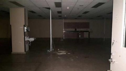 January 2017 - 20170131_111216.jpg