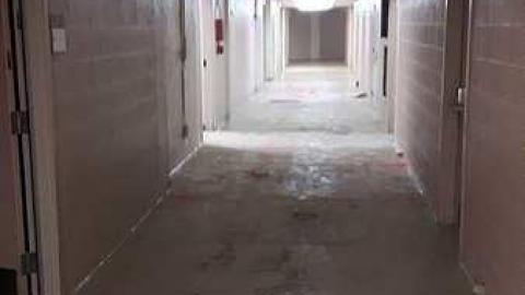 January 2017 - 20170131_111054.jpg