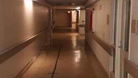 January 2017 - 20170131_110943.jpg