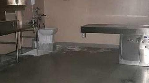 January 2017 - 20170131_105950.jpg