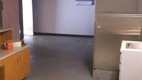 January 2017 - 20170131_105620.jpg