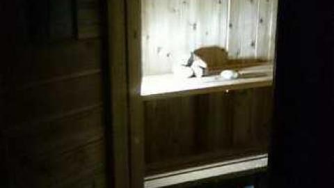 February 2017 - Abandoned-Grow-Op-Mansion--Drug-Dealers-Mansion--King-City137.jpg