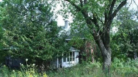 August 2011 part 2 - IMG_0468.jpg