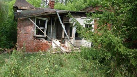 In the Summer - 12.jpg