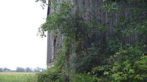 In the Summer - 14.jpg