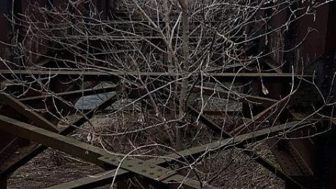 Old Rail Bridge photo 5