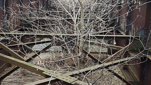 Photo from February 2017