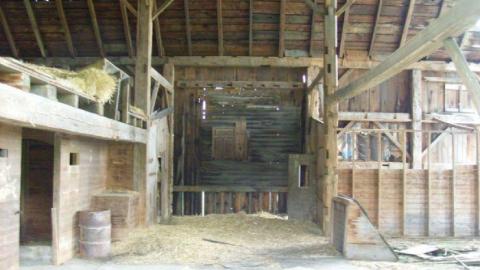 In the Summer - 21.jpg