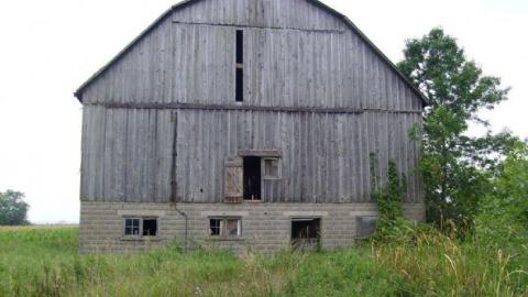 In the Summer - 27.jpg