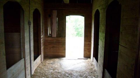 In the Summer - 22.jpg